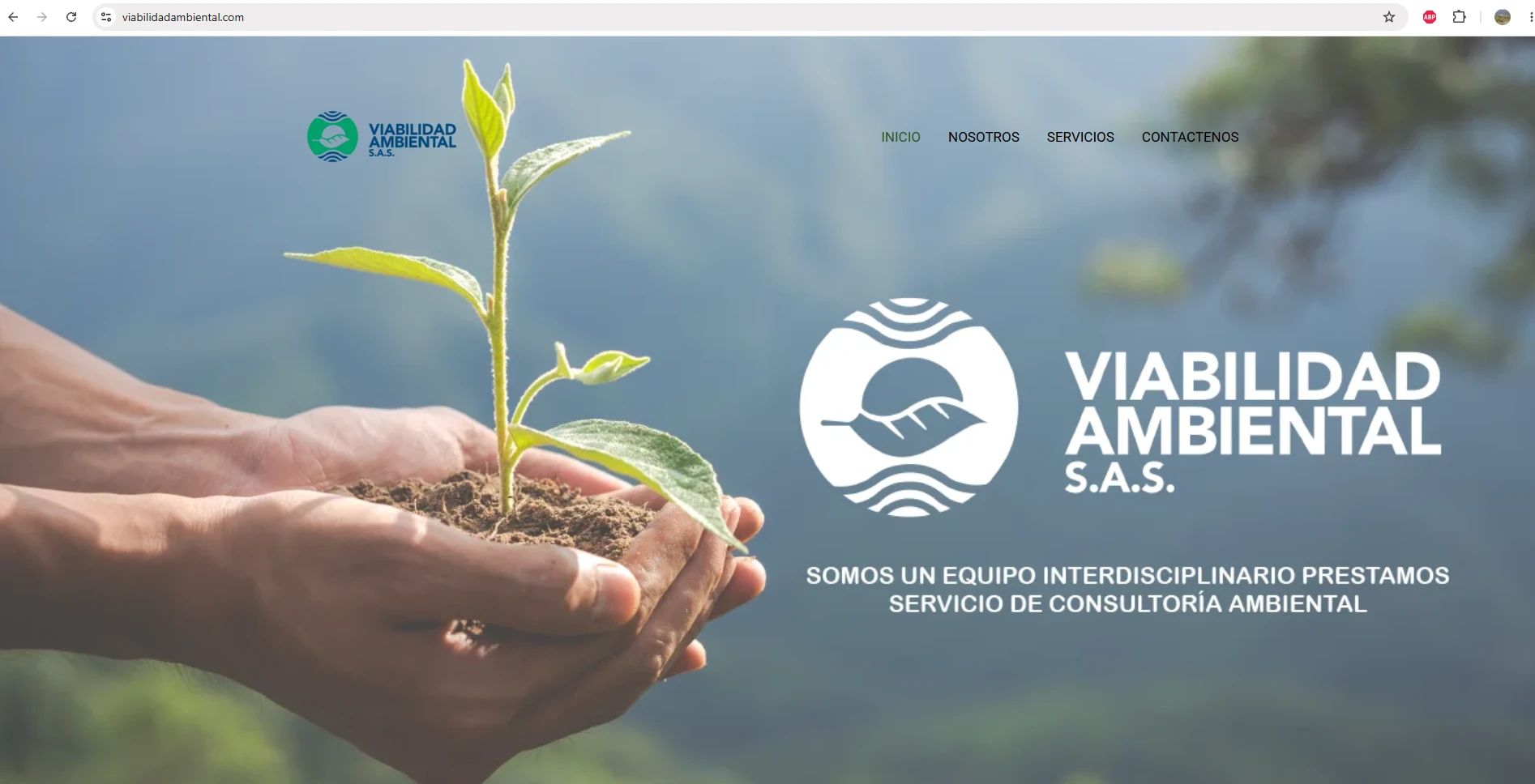 Viabilidad Ambiental S.A.S.
